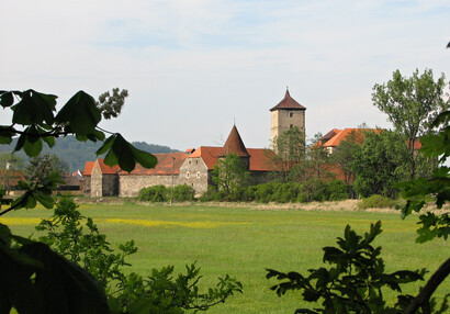 Vodní hrad Švihov - Galerie - Mezi stromy z louky