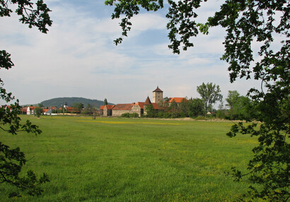 Vodní hrad Švihov - Galerie - Mezi stromy z louky