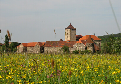 Vodní hrad Švihov - Galerie - Mezi stromy z louky