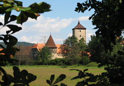 Vodní hrad Švihov - Galerie - Mezi stromy