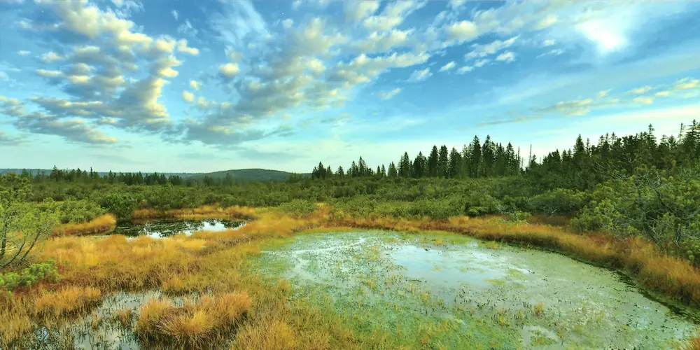 Výstava fotografií „Moje Šumava“ na Švihově - Švihov