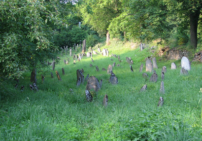 Město Švihov - Židovský hřbitov