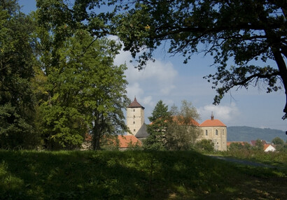 Jiří Strašek: Vodní hrad Švihov