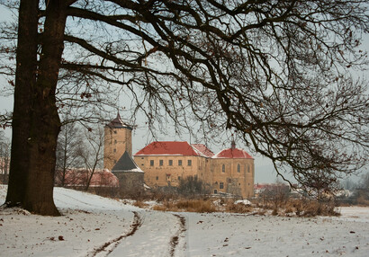 Jiří Strašek: Vodní hrad Švihov