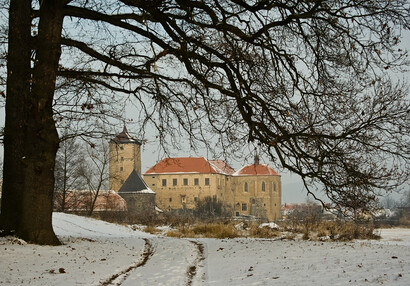 Jiří Strašek: Vodní hrad Švihov