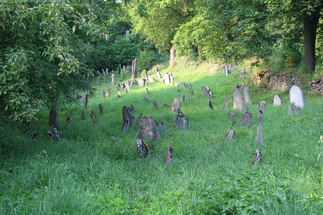Švihov - židovský hřbitov